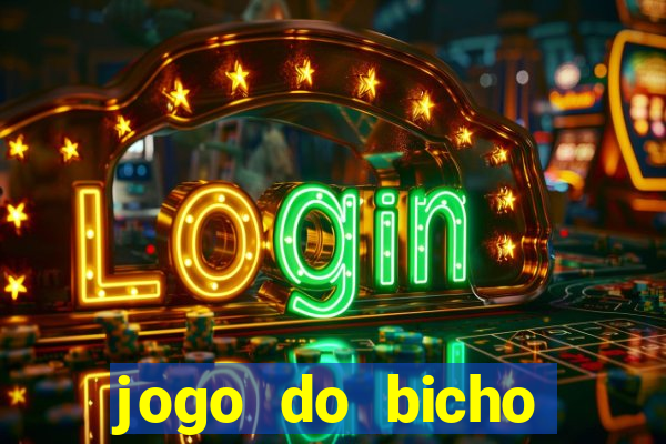 jogo do bicho crash bingo